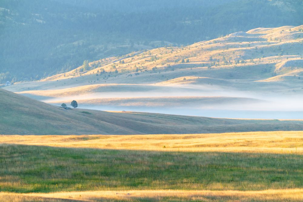 Photograph by Ilya Stolov