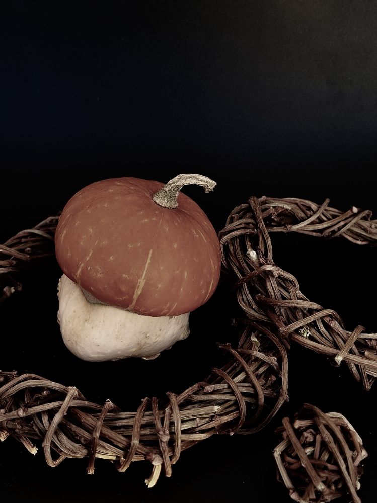 Photograph by Ольга