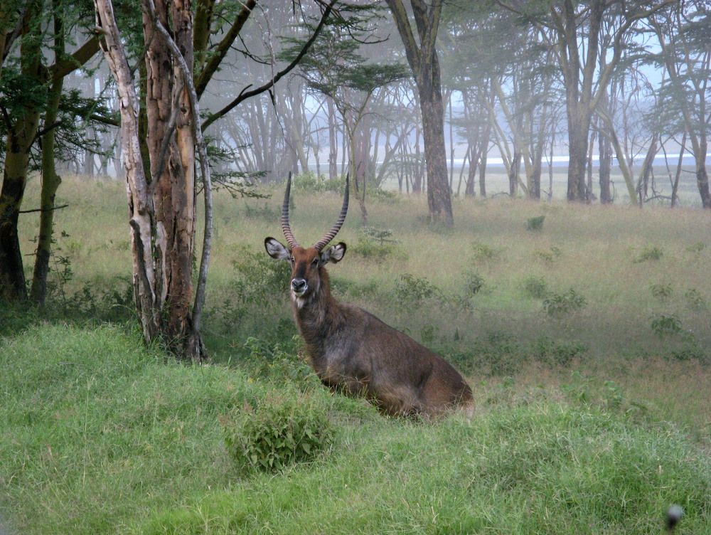 Photo #9877442
