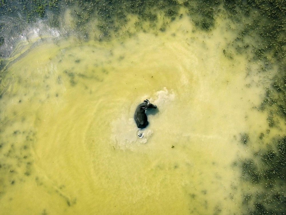 Фотография автора mohammad hossein moheimani