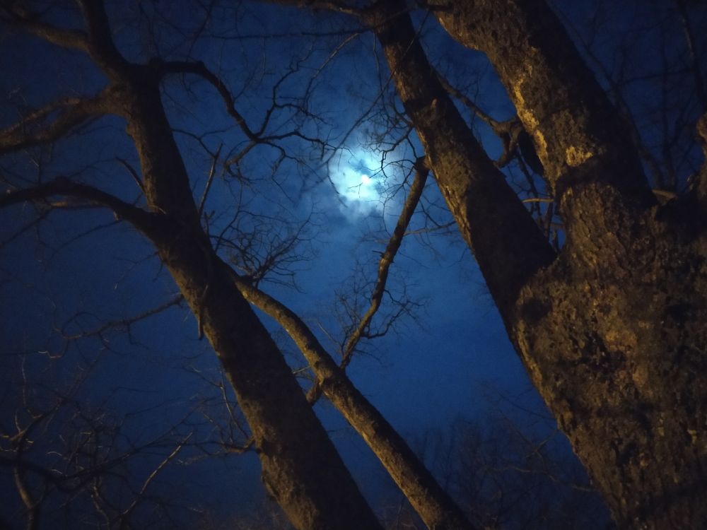 Фотография автора Иван