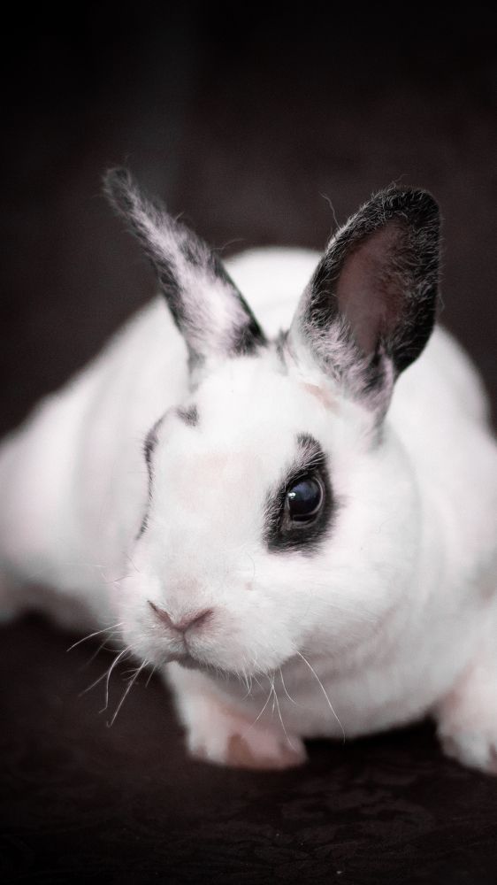 Photograph by Анастасия Лученок