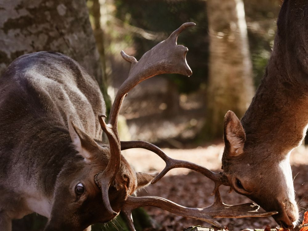 Photograph by Giuseppe Catalano