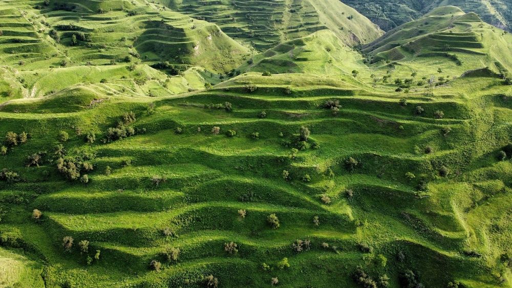 Photograph by Дмитрий Симбирцев