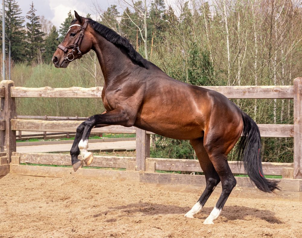 Photograph by Анастасия Лученок