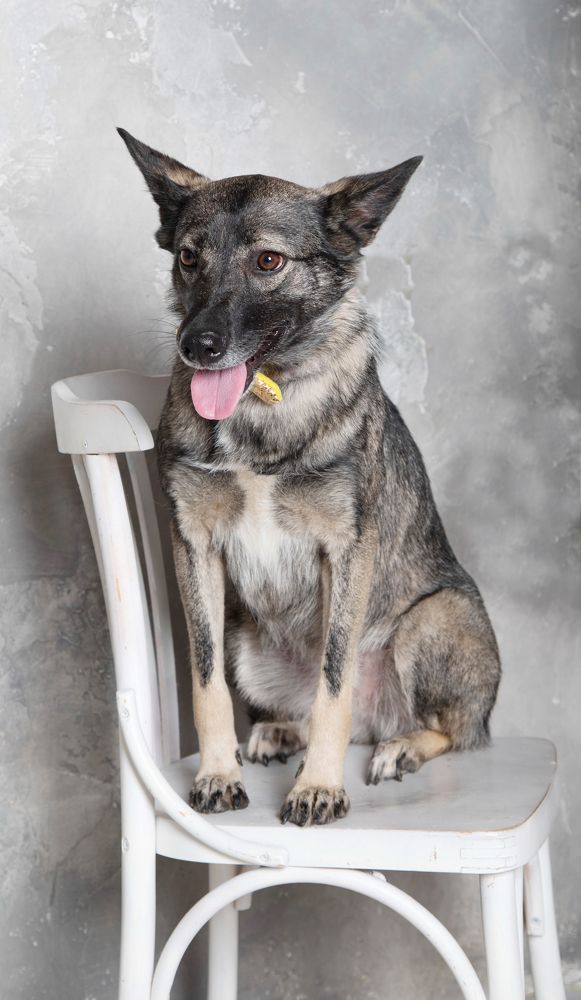 Photograph by Анастасия Рысь