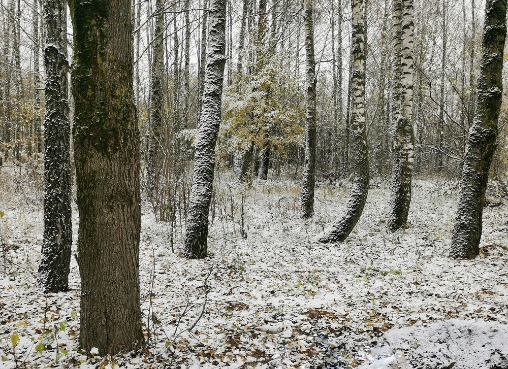 Photograph by Баринов Борис