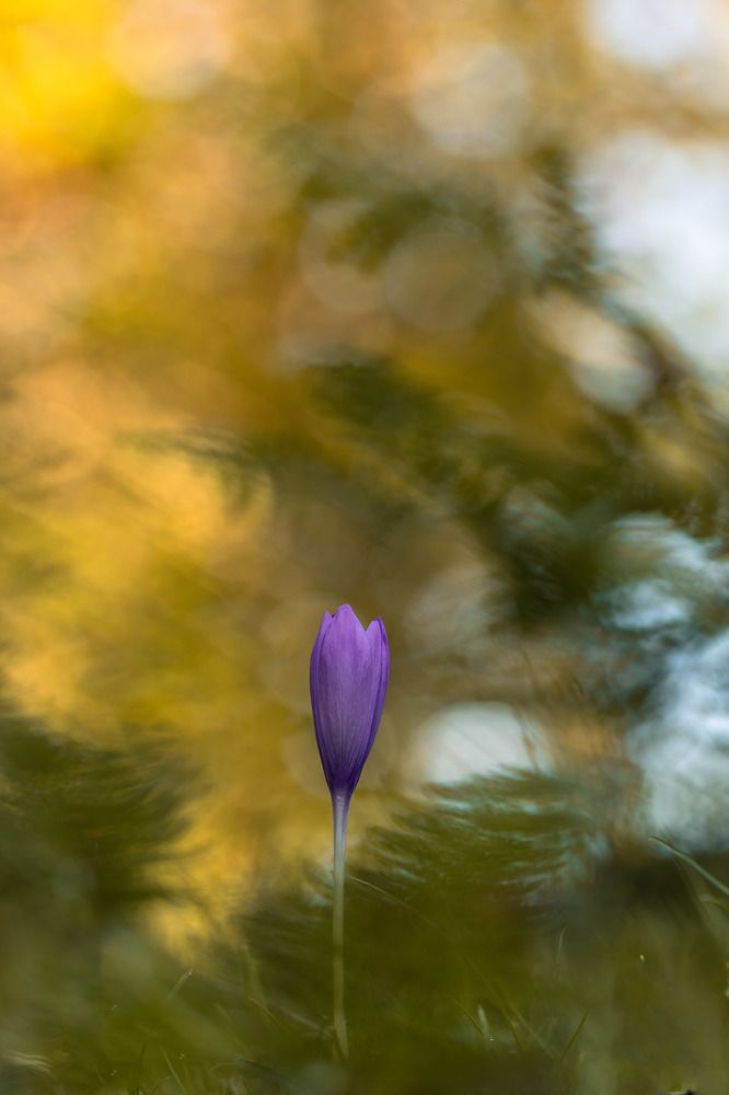 Photograph by Torres