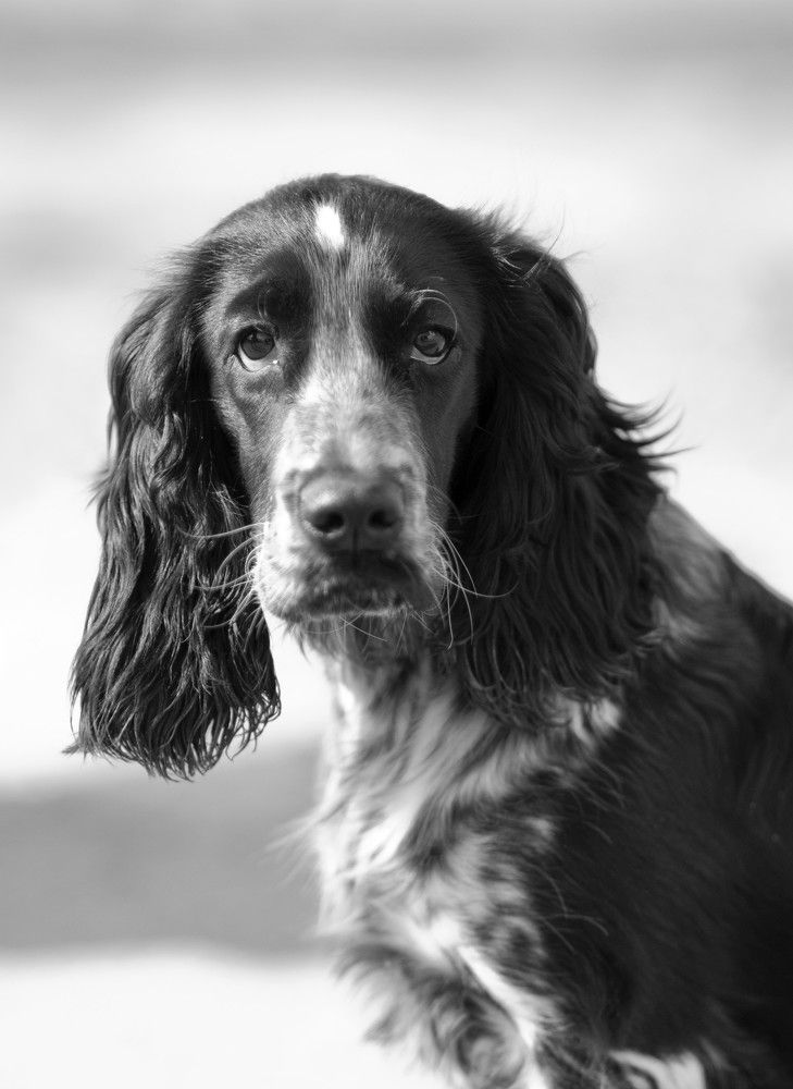 Photograph by Кулаков Юрий