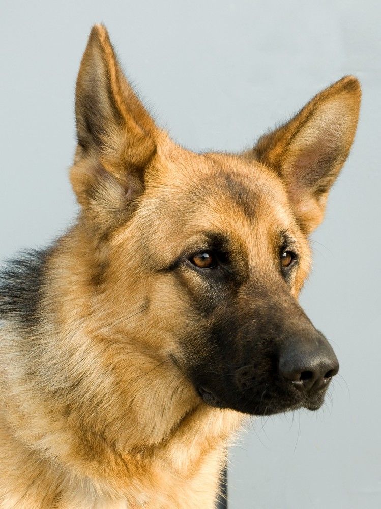 Photograph by Кулаков Юрий