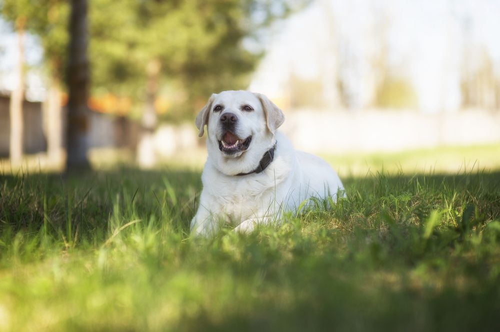 Photograph by Кулаков Юрий
