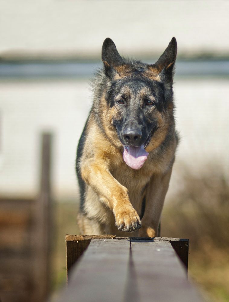 Photograph by Кулаков Юрий