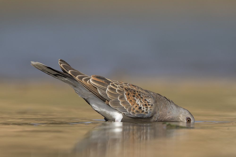 Photograph by Vasos Vasiliou