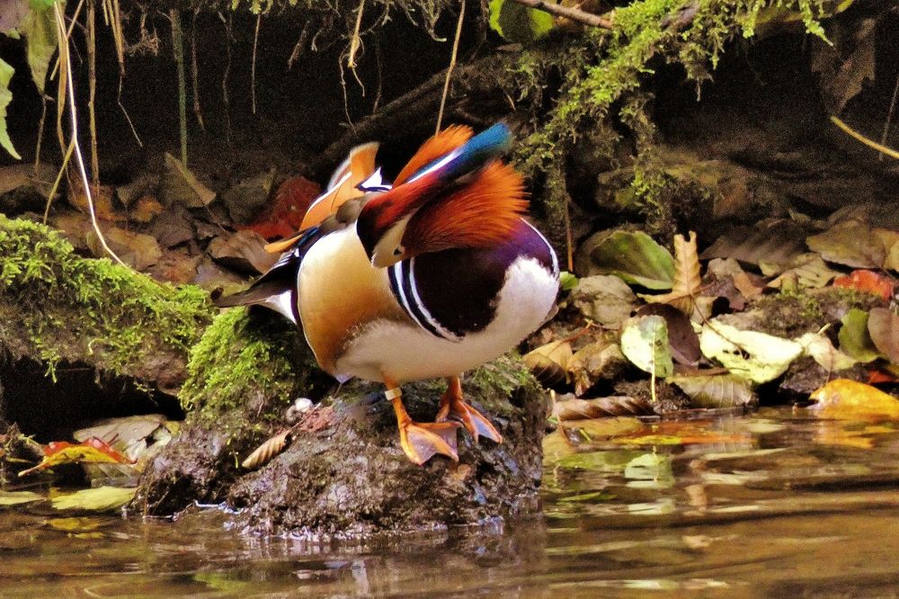 Photograph by backareva irina