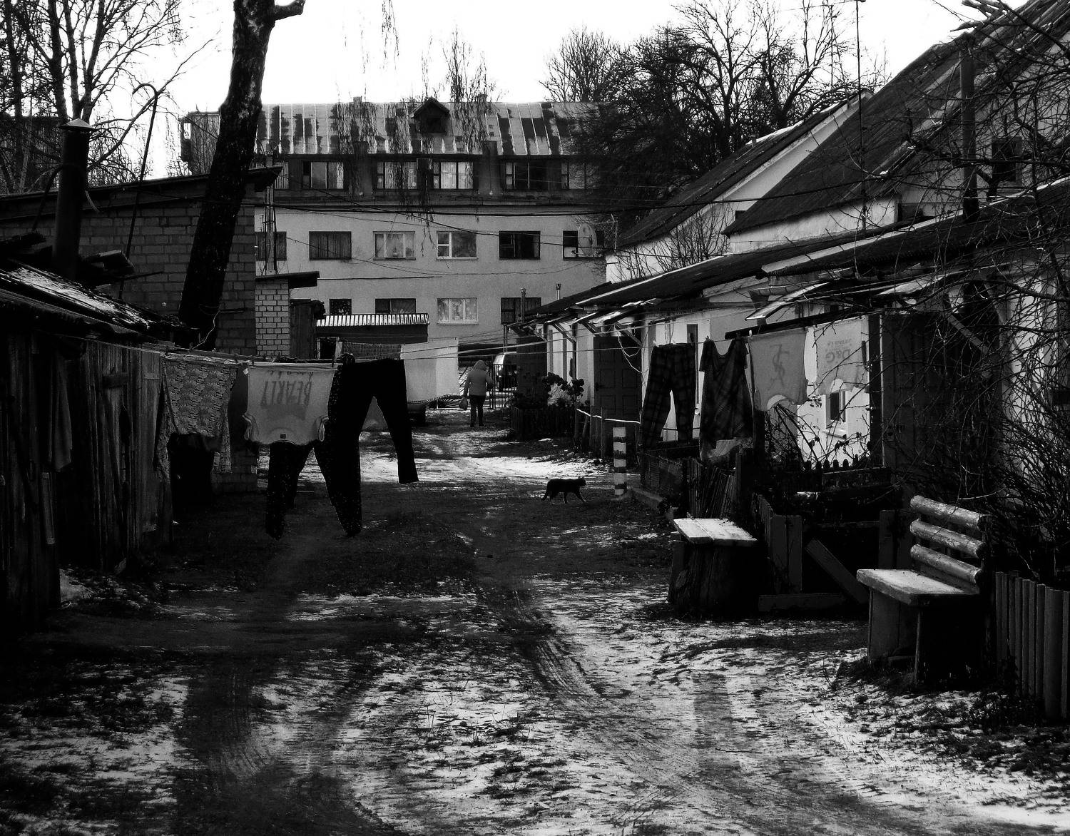 Photo #9877837