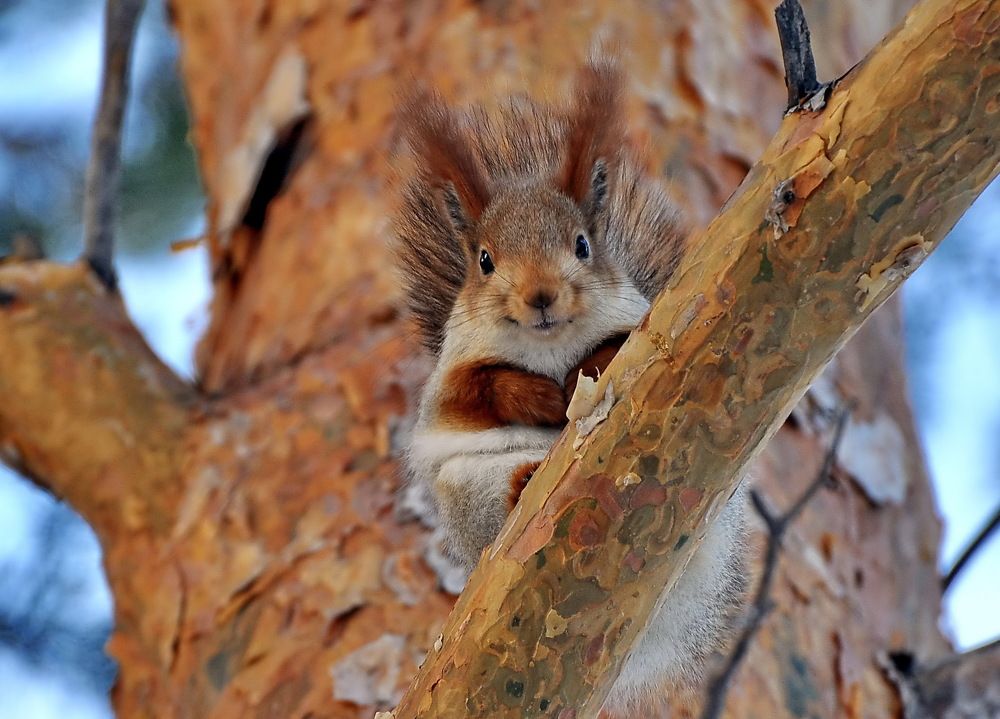 Photograph by Евгений Дроботенко