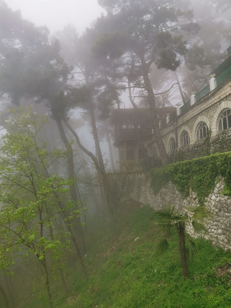 Photograph by Анастасия