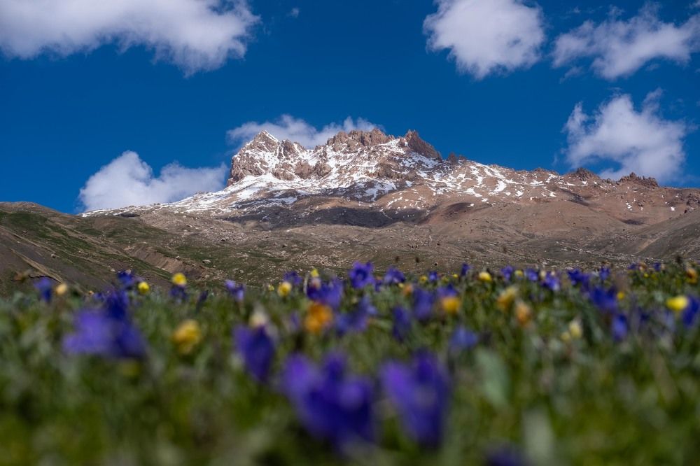 Photograph by Роман Светлов