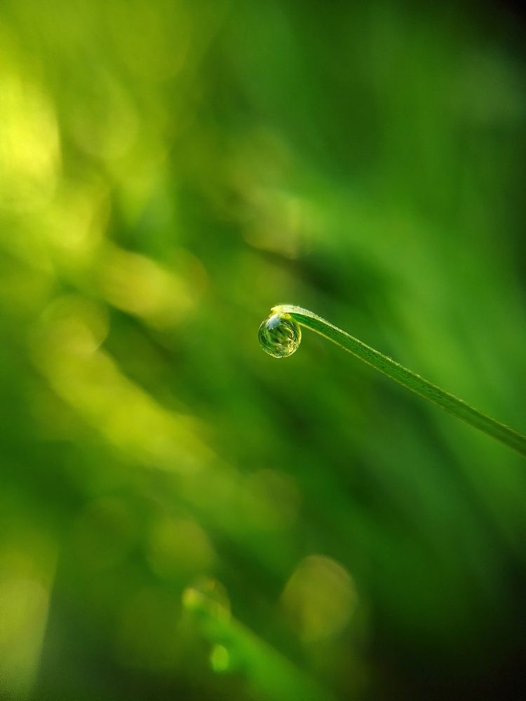 Photograph by Анастасия Старикова