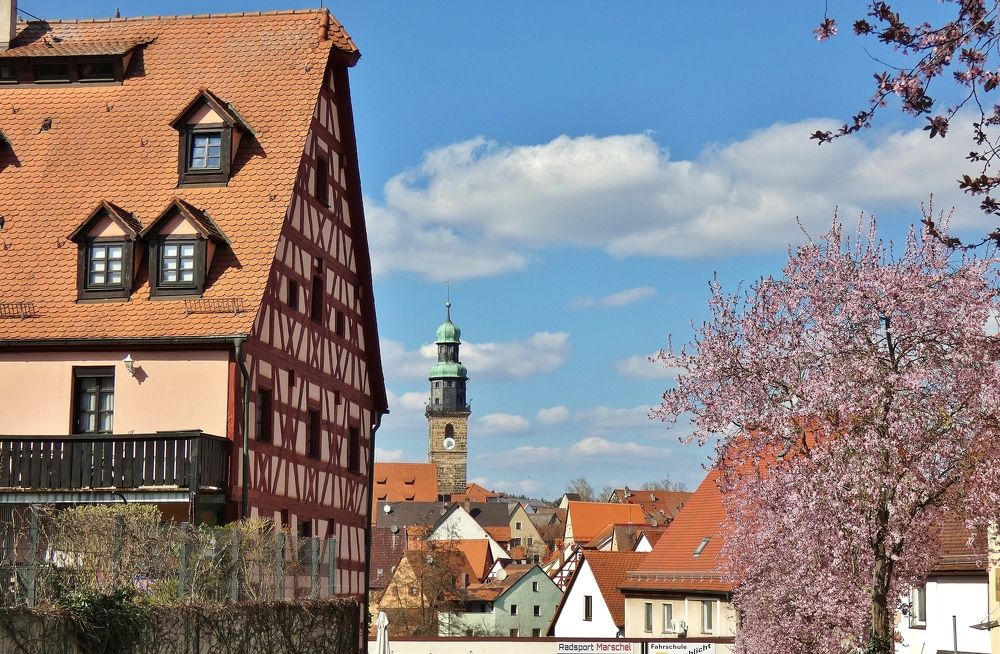 Photograph by backareva irina