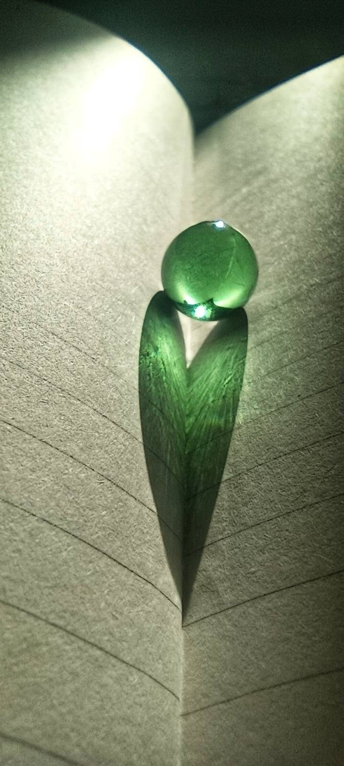 Photo #9877963