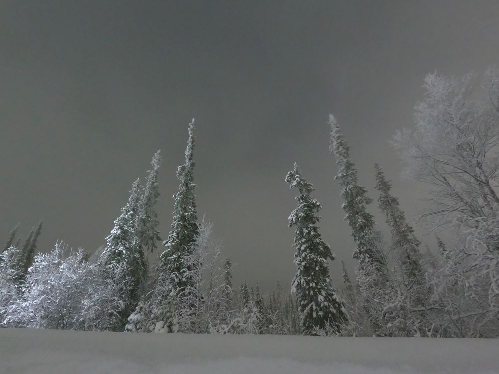 Photograph by Елена