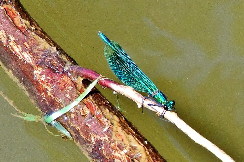 Photograph by backareva irina