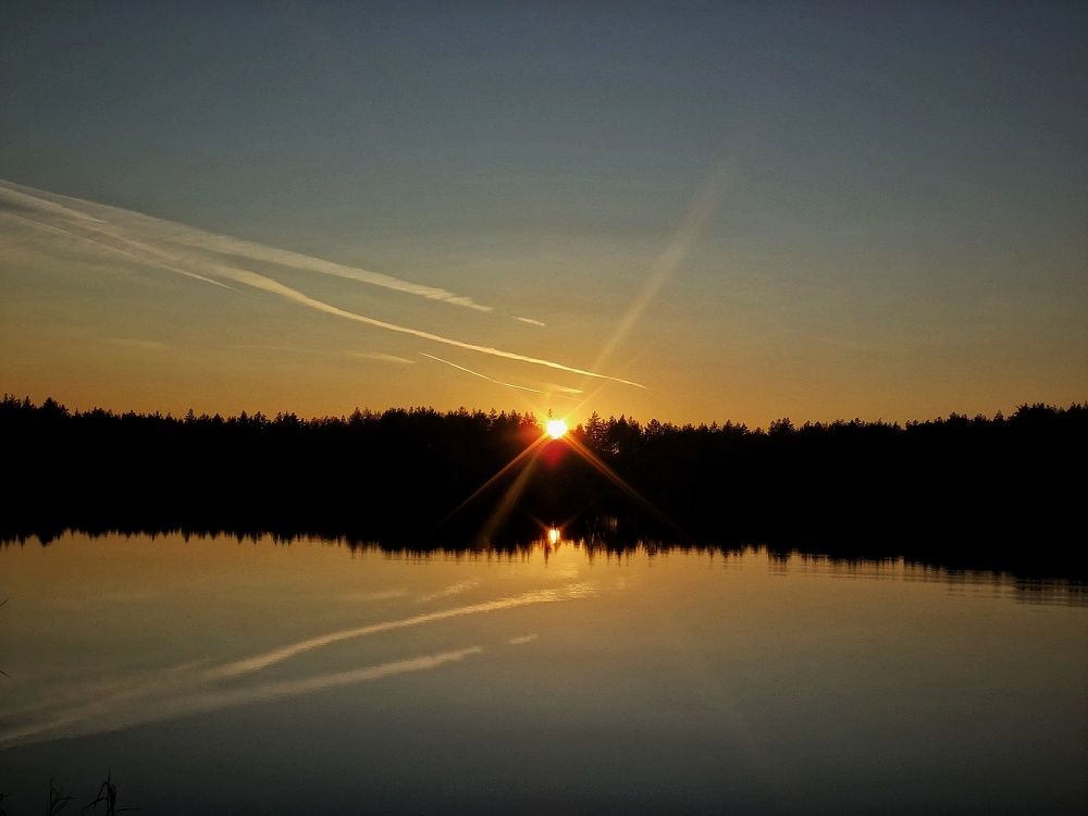 Photograph by Елена Силантьева