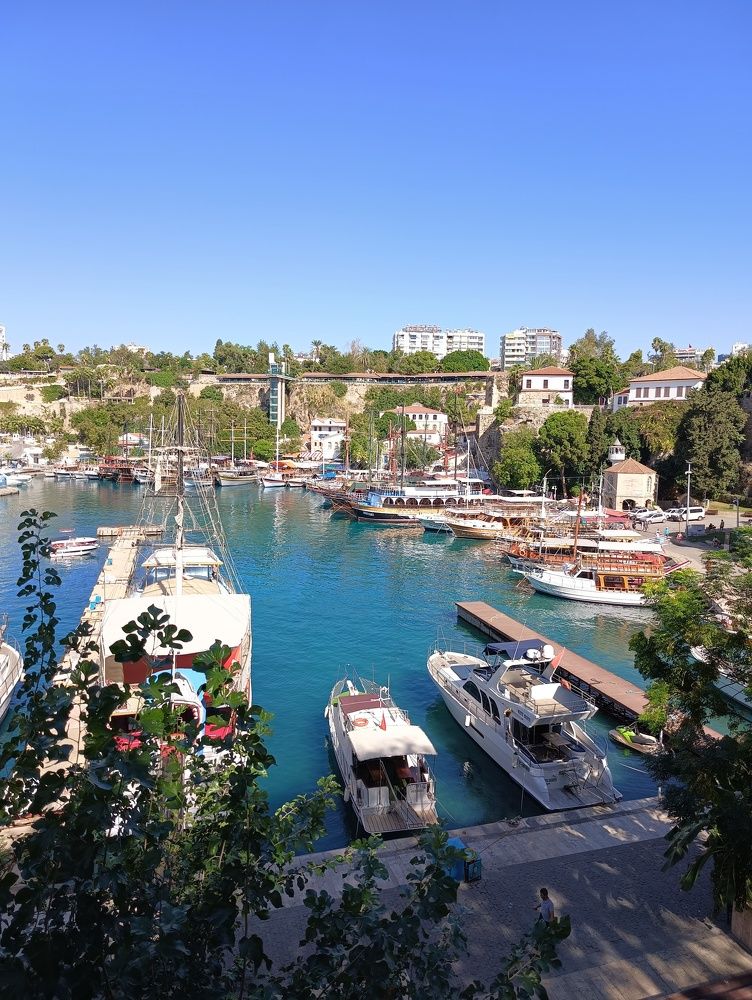 Фотография автора Елена Александрова