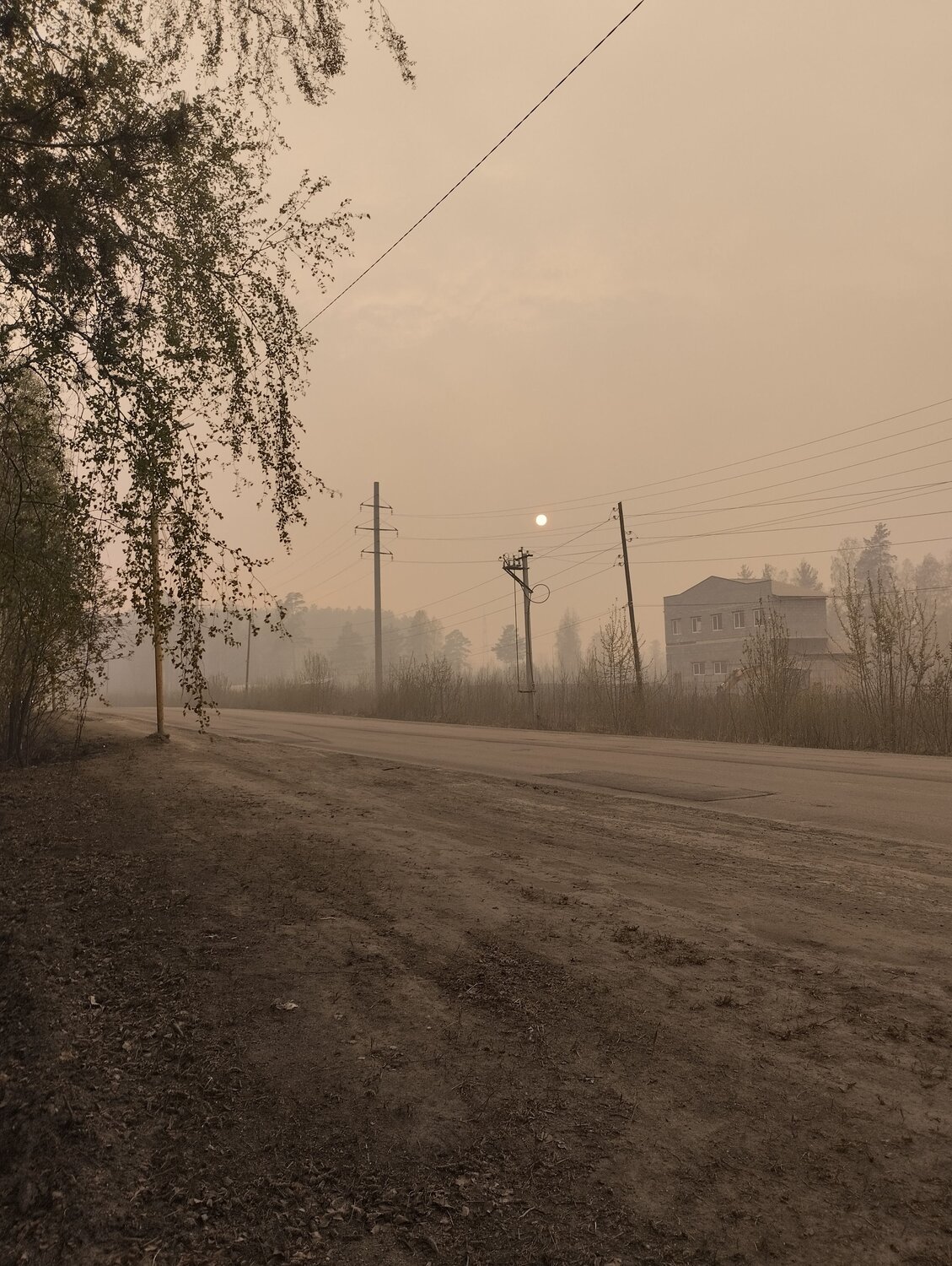 Photo #9878075