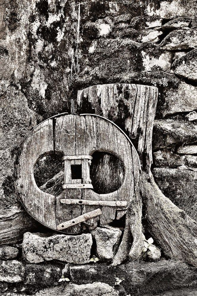 THE EYES OF THE PAST