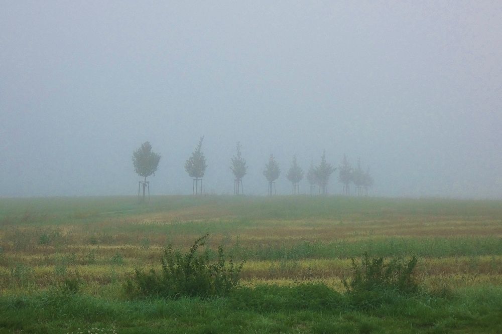 Photograph by backareva irina