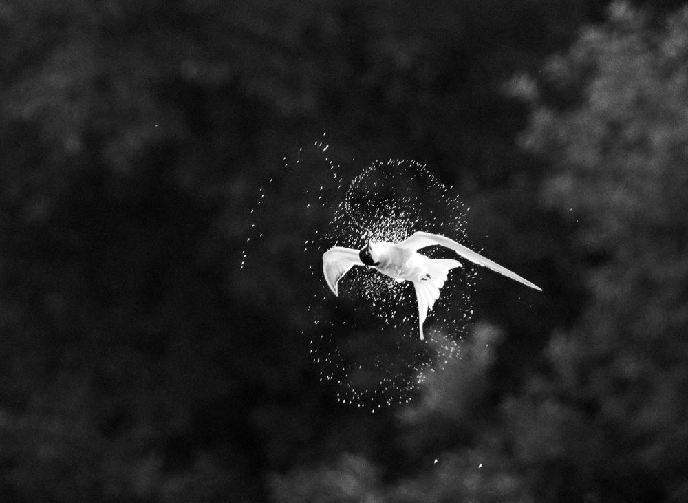 Photograph by Сергей Маслов