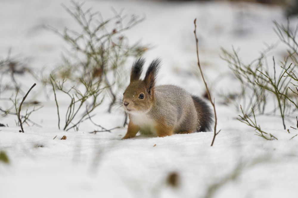 Photograph by Высотских Владимир