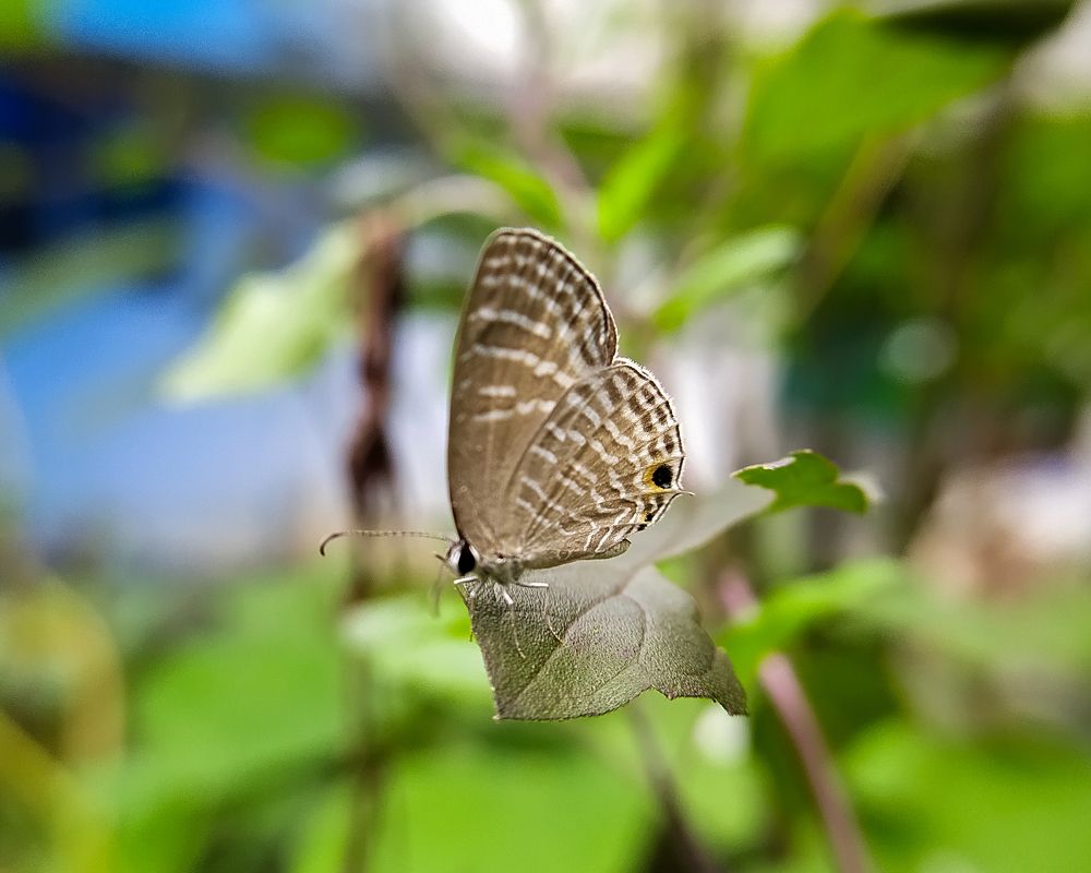 Photograph by HariKrishnan ms
