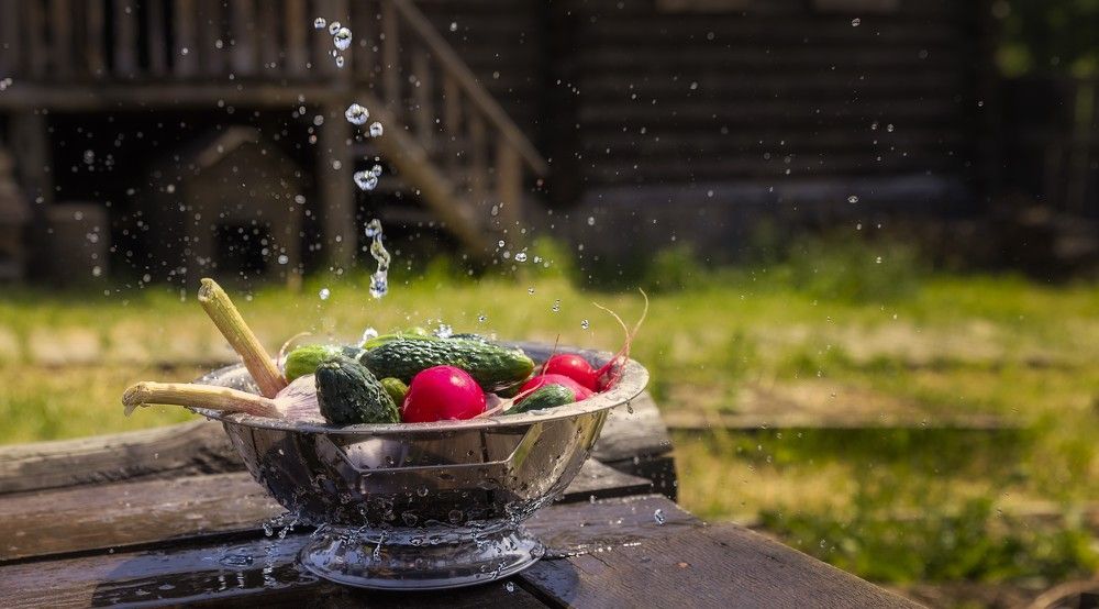 Фотография автора Татьяна Бурлакина