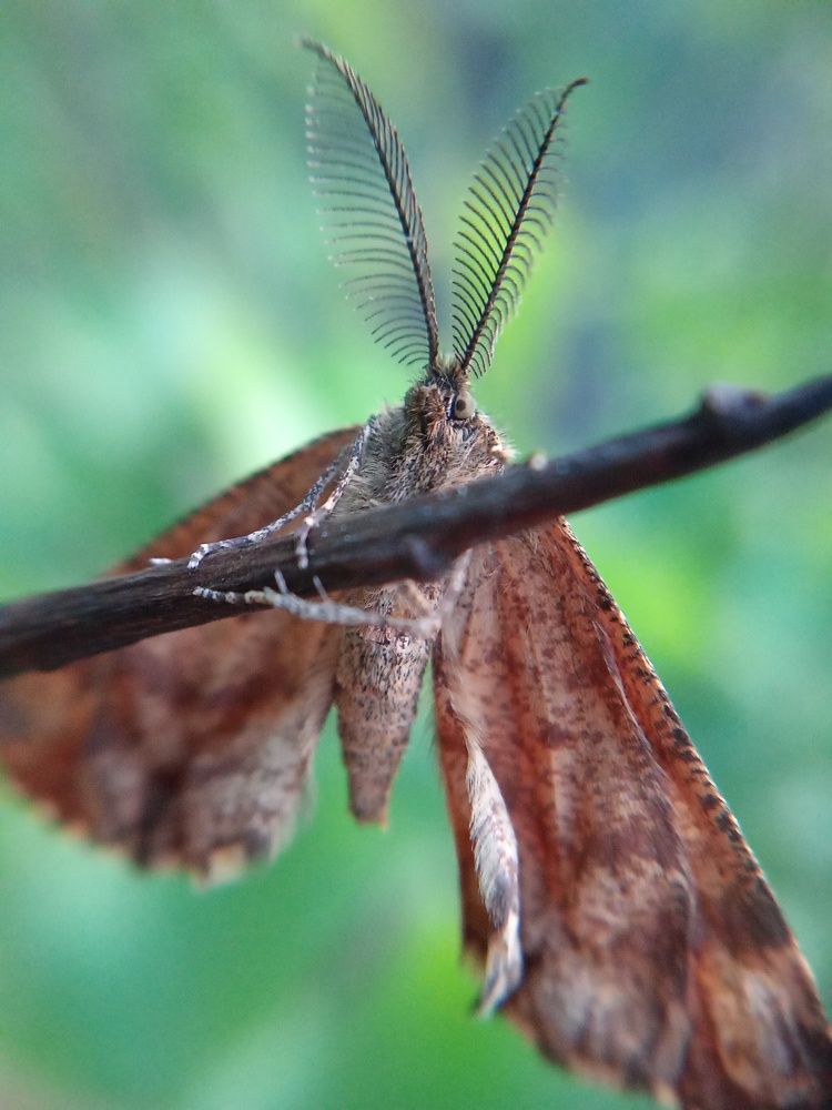 Photograph by Анастасия Старикова