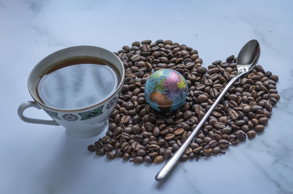 Photograph by Светлана Тарханова