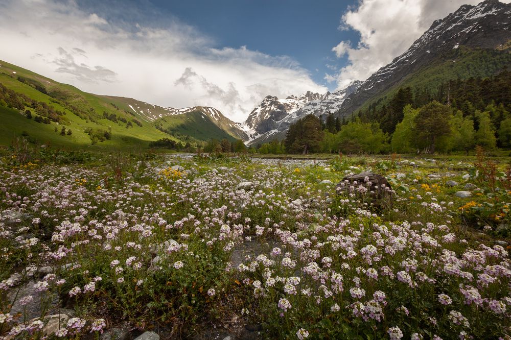 Фотография автора AGIL