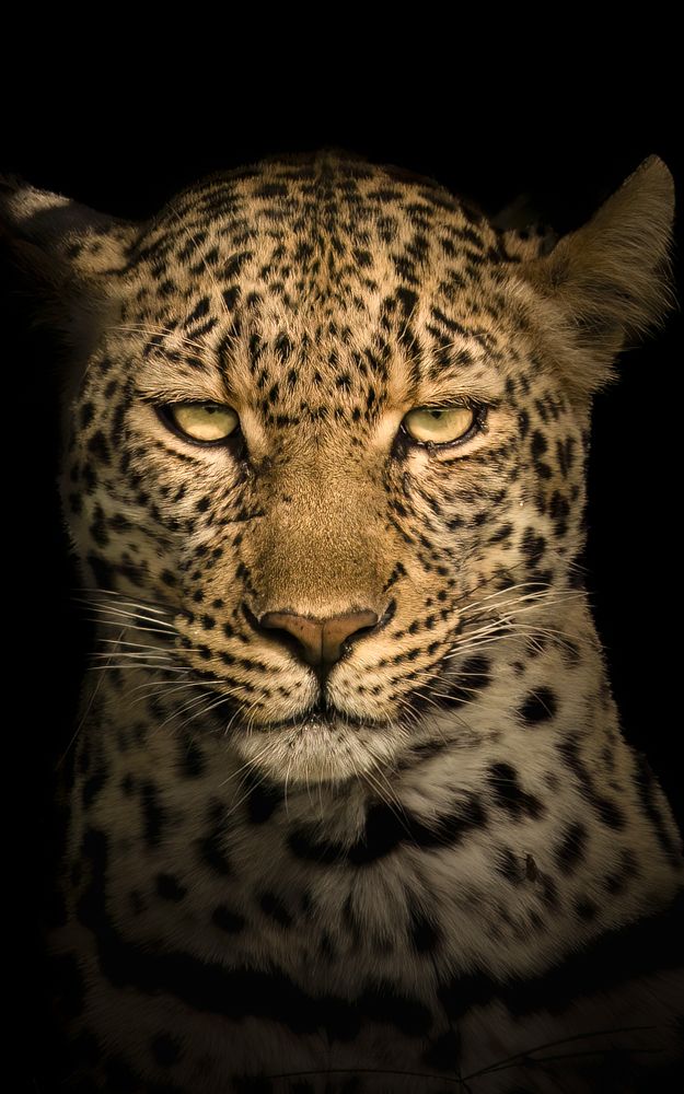 Photograph by Rémi Vacher