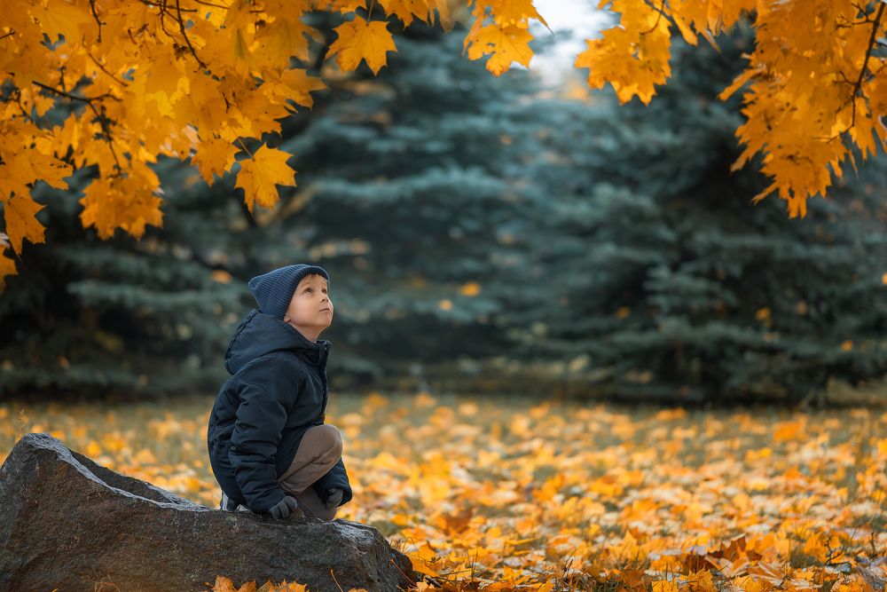 Photograph by Дарья Кончакова