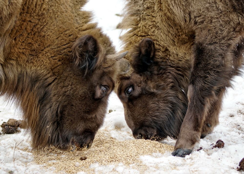 Photograph by Жиляев Евгений