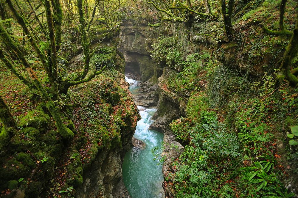 Photograph by Ирина Сушко