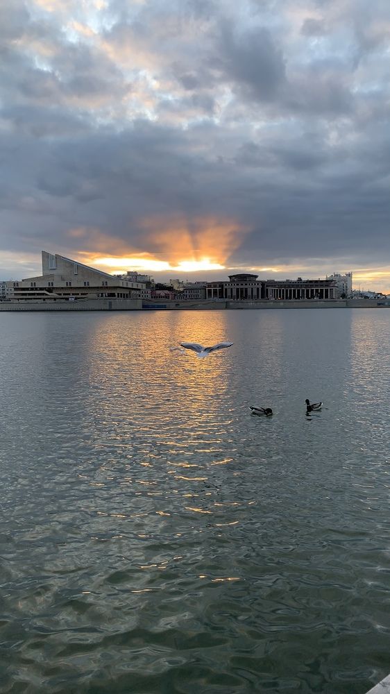 Photograph by гульназ замалеева