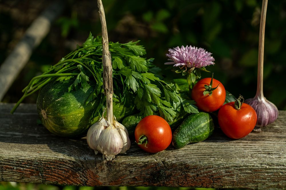 Photograph by Галина Искандарова