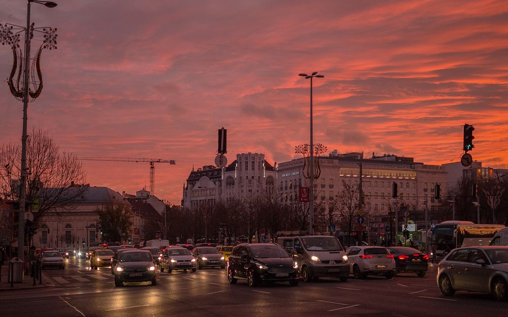 Photograph by Светлана Мельник