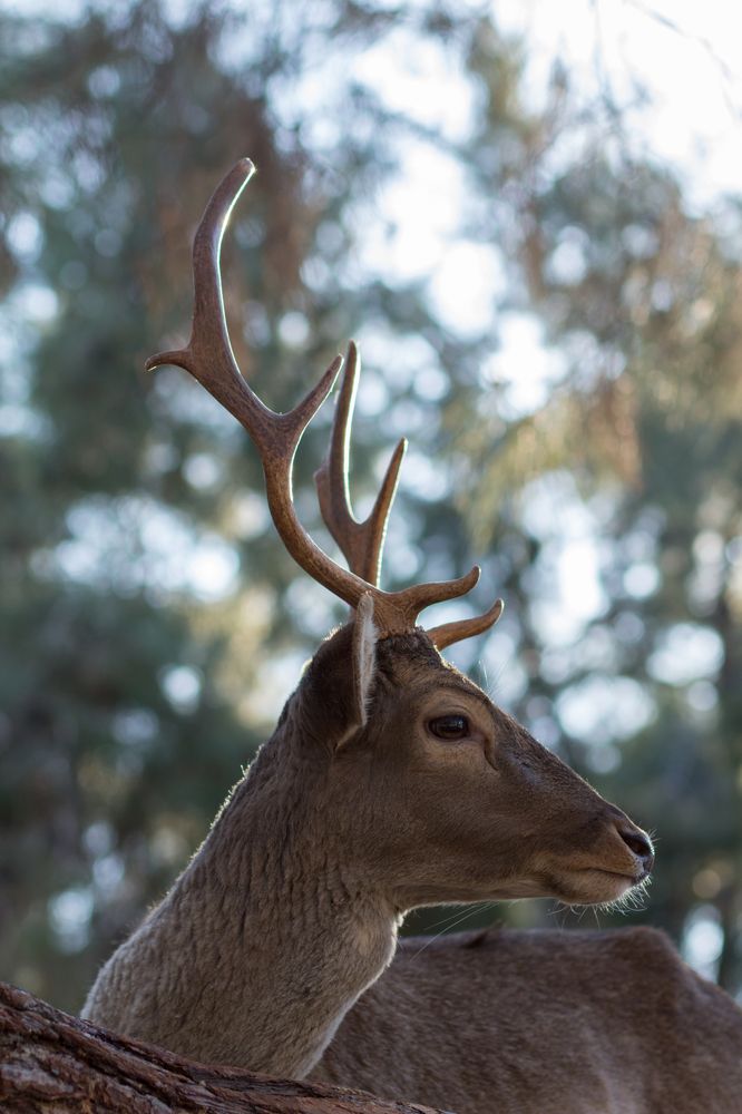 Photograph by Olga Min