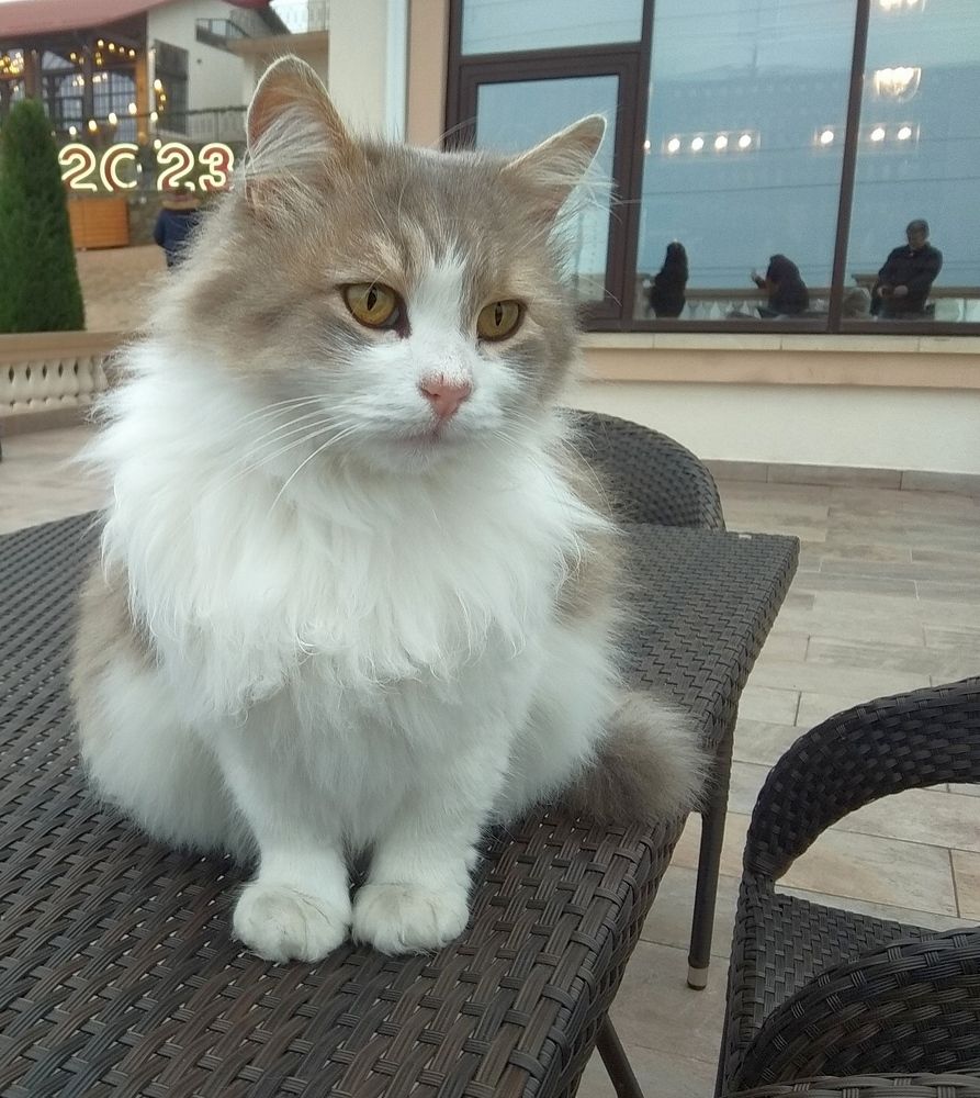 Photograph by Сергей Христинич