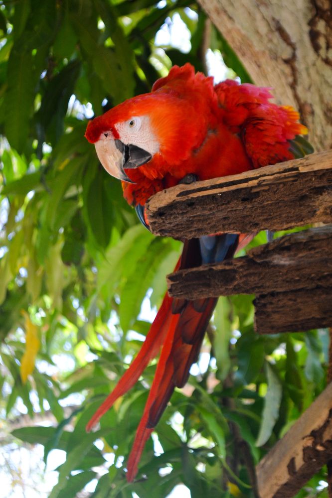 Photograph by Patrícia Helena