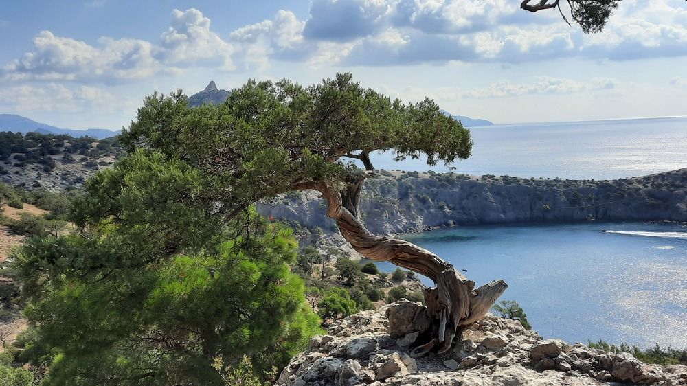 Photograph by Татьяна